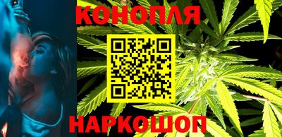 прущие грибы Канаш