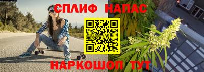 ALPHA PVP Когалым