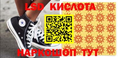 прущие грибы Канаш