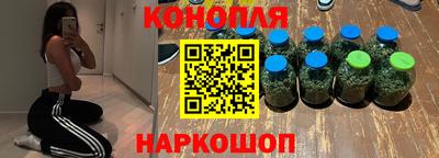 прущие грибы Канаш