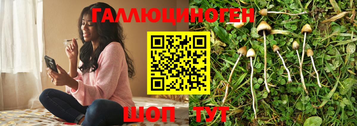 Галлюциногенные грибы MAGIC MUSHROOMS  Вход с VPN  купить наркотик  Каменск-Уральский 